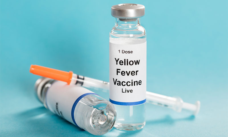 Yellow fever vaccination campaigns relaunched in Nigeria